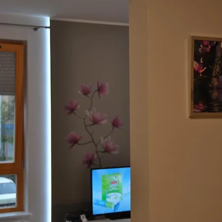 Magnolia
