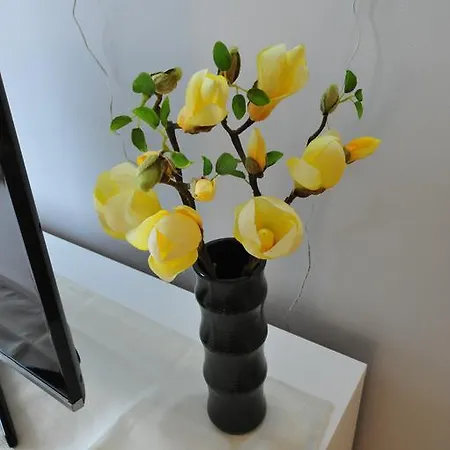 Magnolia *