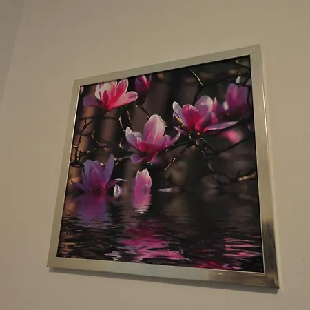 Magnolia * שצ'צ'ין